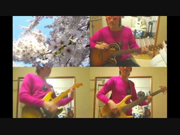 【パピヨン誠】花は桜 君は美し-いきものがかRe-mix【むうたん】