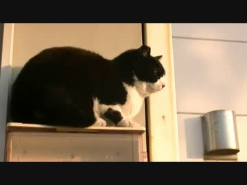 【AXeSSプチ旅行】日帰り満喫寸又峡【Part03】