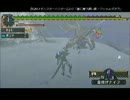 ①モンスターハンターP2G [19] 鋼龍クシャルダオラ