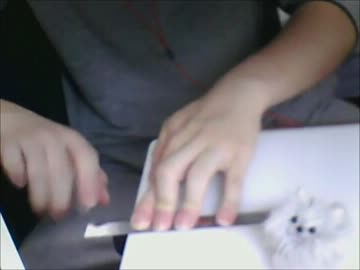 【モノサシスト見習い】白い雪のプリンセスはを定規で弾きたかったのだ