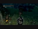 【ダークソウル】猫神の竜人冒険記その８