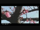 【歌ってみた】春に一番近い街　ver.Lun*