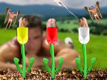 本格的♂チューリップ