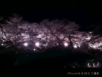 上田城の夜桜2012