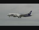 伊丹空港RWY14　ボーイング787着陸