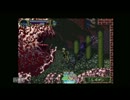 【実況】悪魔城ドラキュラX月下の夜想曲９夜【でもヘタレが素っ裸】