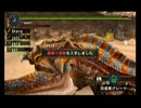 【MHP2G】はだかのおつかいvoll16【実況プレイ動画】