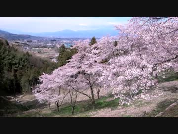 【バイクで散歩日和】サクラ舞う【修正版】