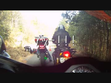 2012/04/15 はぢめてのとちぎの花見