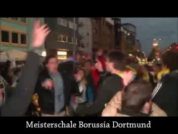 ドルファンの愛が重すぎて運転手が泣きそうな件