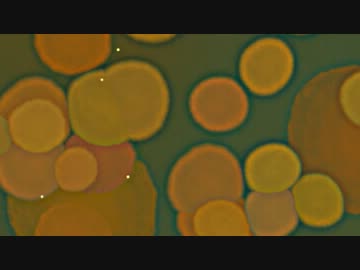 teha - たそがれどきに