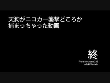 天狗がニコカー襲撃どころか捕まっちゃった動画
