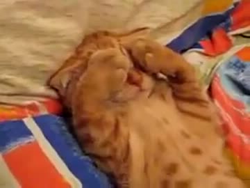 顔　隠しますww