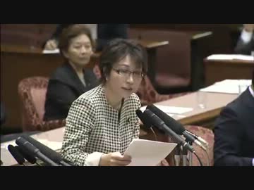 H24/04/24 参院財政金融委・佐藤ゆかり【AIJ浅川氏に対し厳しく質します】