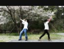 桜の木の下で【千本桜】踊ってみた!!byEls&雨洲吏穂