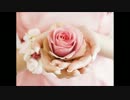 【初音ミク】 結婚するって本当ですか 【オリジナル】