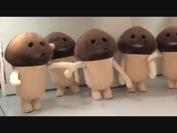 なめこ集結