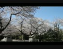 平成２４年４月７日の靖国神社