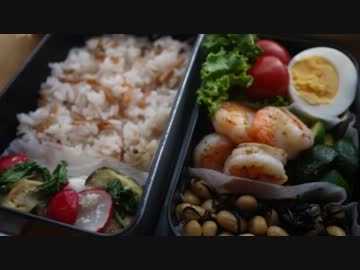 弁当いろいろ作ってみた＃７【all塩麹】