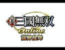 真・三國無双 Online ～龍神乱舞～ 國士無双戦 BGM 1 - AVENGERS' PARTY