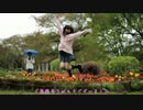 【きょお☆】Gravity=Reality踊ってみた【小雨の中】