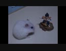 ハムスターvsベジータ