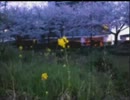 【オリジナル曲】Sister.Mと老執事の旅路【ピアノインスト】