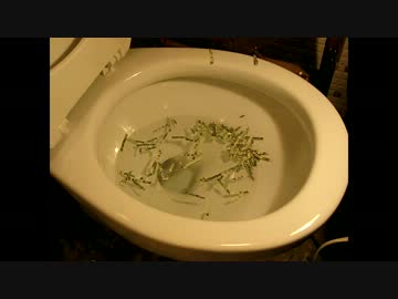お金をトイレに流してみた２