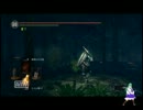 【DARK SOULS】へびんちゅ持って森！