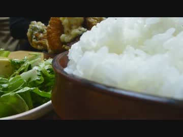 秋葉原グルメ紀行　その１４