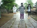 【むむ】まじめにハッピーシンセサイザ踊ってみた？【ぶどう猫】【塊】