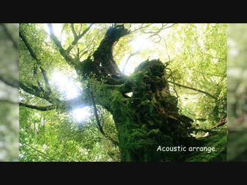 「想像フォレスト」アコギでアレンジして歌いました。