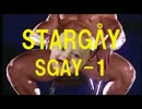 海外ドマラ 「スターゲイ SGAY-1」