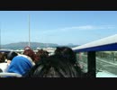 IMG_1657[1].MOV