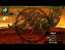 【MHP3】獄炎に座す、覇たる者　非火事場ライト【3'51"76】