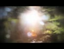 Berry Weight - Yeti's Lament