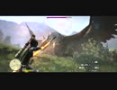 【体験版】ドラゴンズドグマ－グリフィン戦【テスト動画】