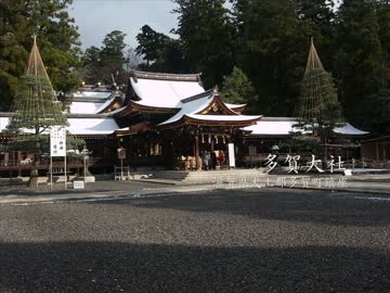 【高画質】古社の風景 ～近江 多賀大社～