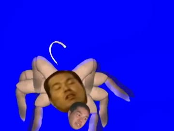 蜘蛛ｫ・・・