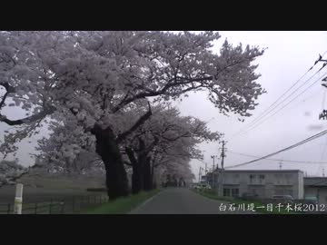 白石川堤一目千本桜2012