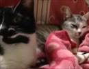 まっすーとカンフ～20120430