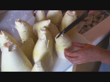 【簡単】たけのこご飯の作り方【美味】