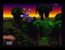 Donkey kong country（スーパードンキーコング国外版）　any% RTA【9:41】