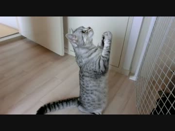 クモさんこっち来て～～