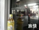 旅情