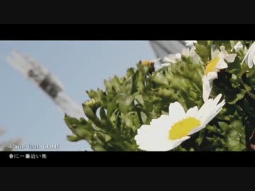 「春に一番近い街」を歌ってみた【ていな】