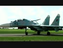 ラドム航空ショー 2009　スホーイ SU-27UB 墜落