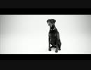 jj - Let Go (Official Video)