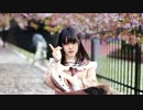 【紫桜】千本桜踊ってみた【ﾘﾝｺｽ】