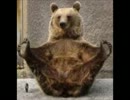 【ｽｶｲﾌﾟ】Gｼﾞｪﾈﾜｰﾙﾄﾞに武力介入【実況】その2